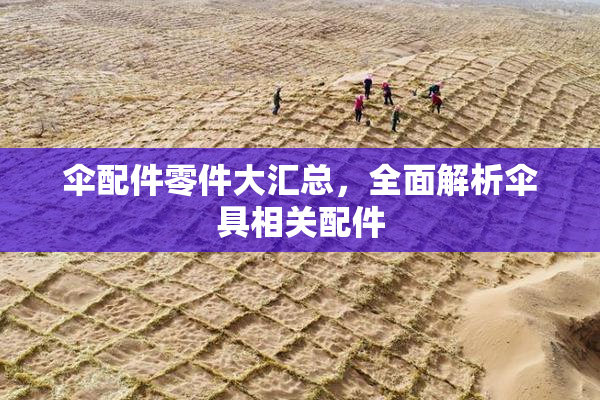 伞配件零件大汇总，全面解析伞具相关配件