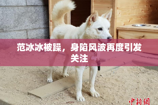 范冰冰被躁，身陷风波再度引发关注