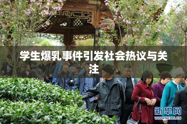 学生爆乳事件引发社会热议与关注