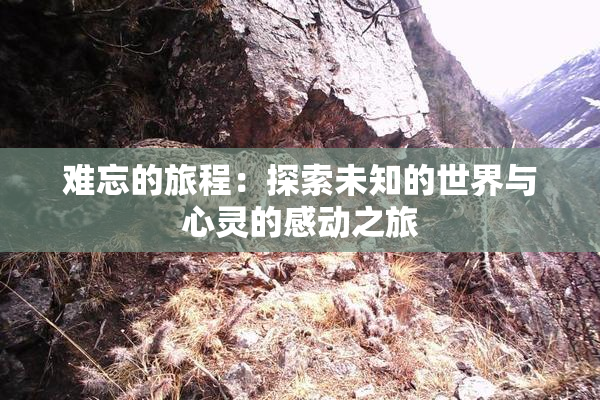难忘的旅程：探索未知的世界与心灵的感动之旅