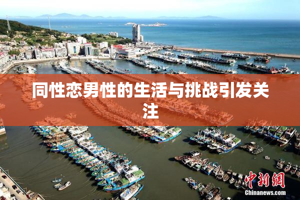 同性恋男性的生活与挑战引发关注
