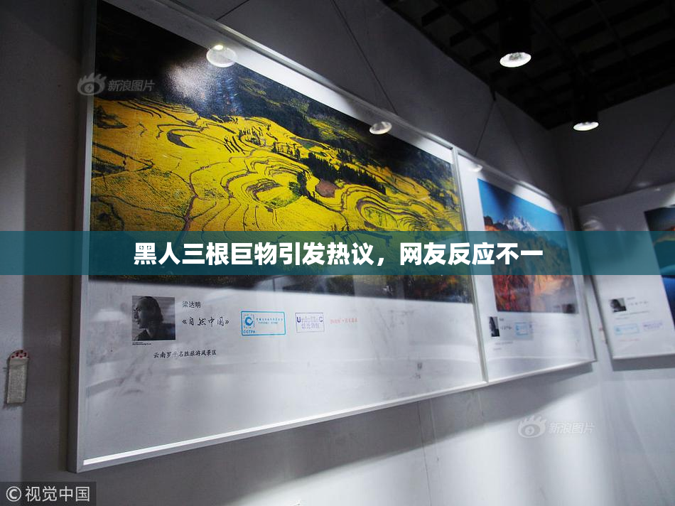 黑人三根巨物引发热议，网友反应不一