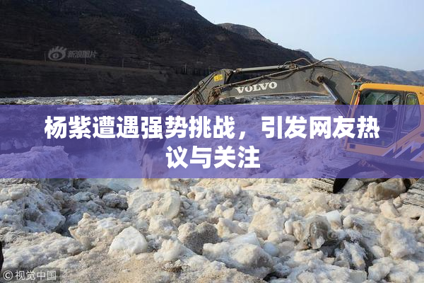 杨紫遭遇强势挑战，引发网友热议与关注