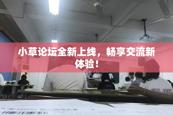 小草论坛全新上线，畅享交流新体验！