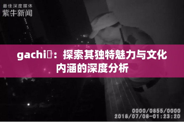gachi籣：探索其独特魅力与文化内涵的深度分析