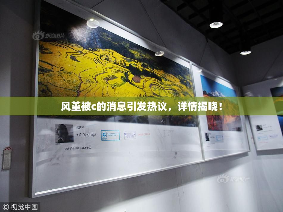 风堇被c的消息引发热议，详情揭晓！