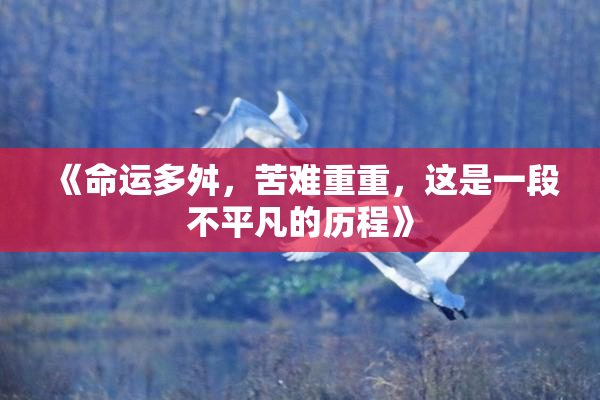 《命运多舛，苦难重重，这是一段不平凡的历程》
