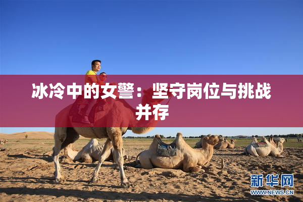冰冷中的女警：坚守岗位与挑战并存