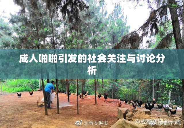 成人啪啪引发的社会关注与讨论分析