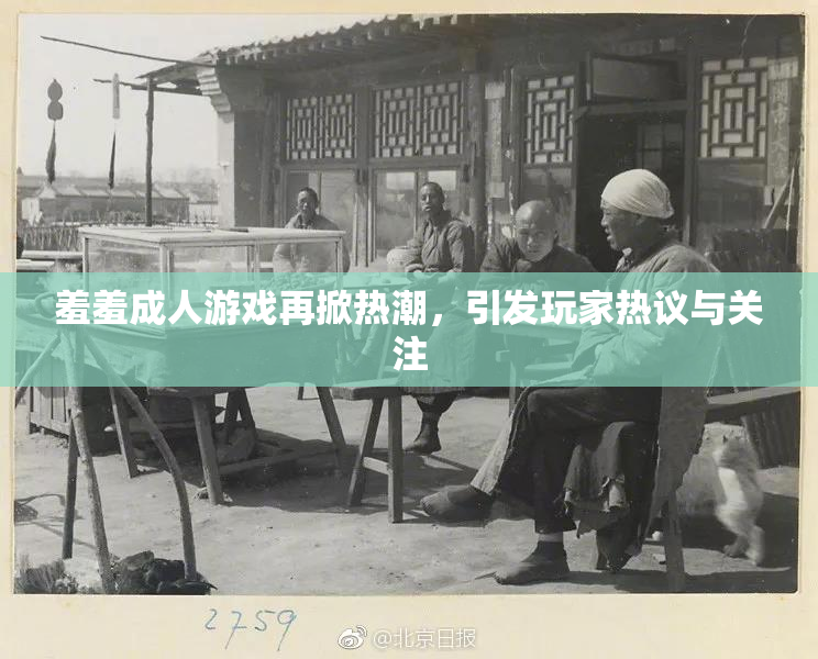 羞羞成人游戏再掀热潮，引发玩家热议与关注