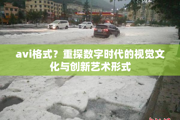 avi格式？重探数字时代的视觉文化与创新艺术形式