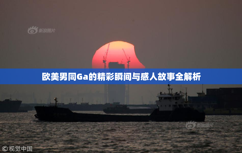 欧美男同Ga的精彩瞬间与感人故事全解析