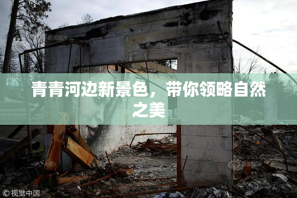 青青河边新景色，带你领略自然之美
