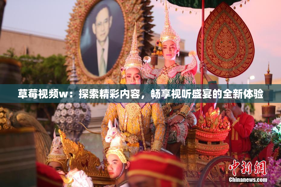 草莓视频w：探索精彩内容，畅享视听盛宴的全新体验