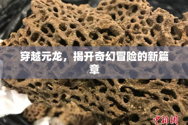 穿越元龙，揭开奇幻冒险的新篇章