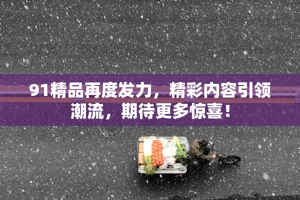 91精品再度发力，精彩内容引领潮流，期待更多惊喜！