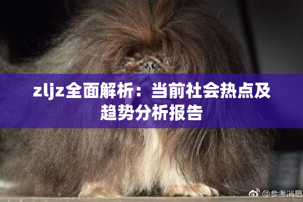 zljz全面解析：当前社会热点及趋势分析报告