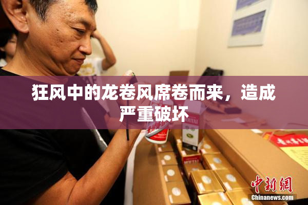 狂风中的龙卷风席卷而来，造成严重破坏