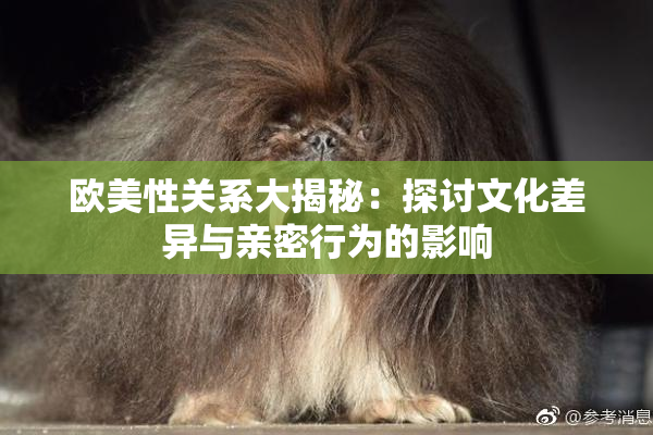 欧美性关系大揭秘：探讨文化差异与亲密行为的影响