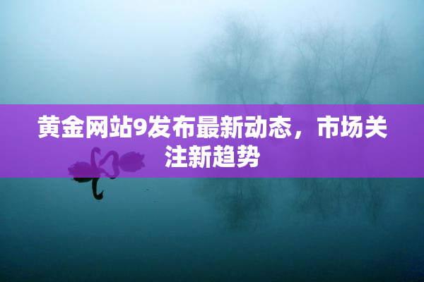 黄金网站9发布最新动态，市场关注新趋势