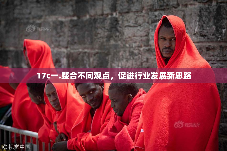 17c一.整合不同观点，促进行业发展新思路