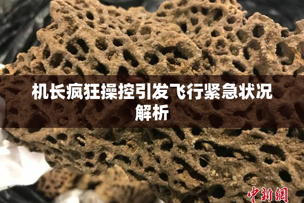 机长疯狂操控引发飞行紧急状况解析