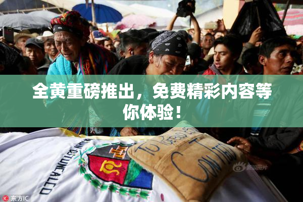 全黄重磅推出，免费精彩内容等你体验！