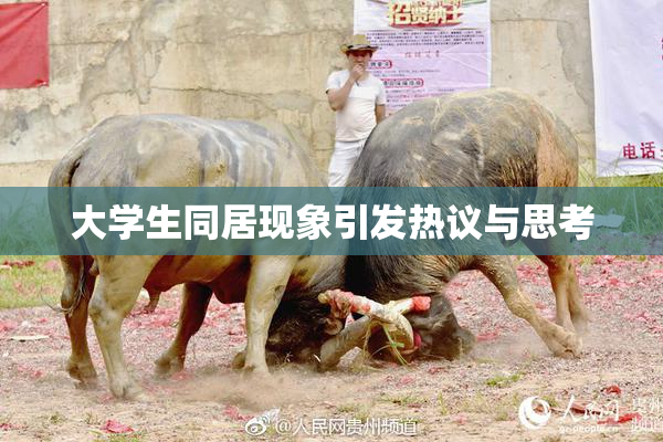 大学生同居现象引发热议与思考