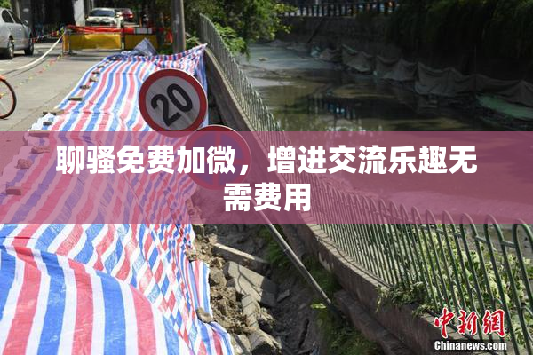 聊骚免费加微，增进交流乐趣无需费用