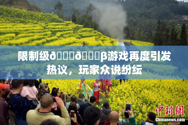 限制级🍆🍑β游戏再度引发热议，玩家众说纷纭