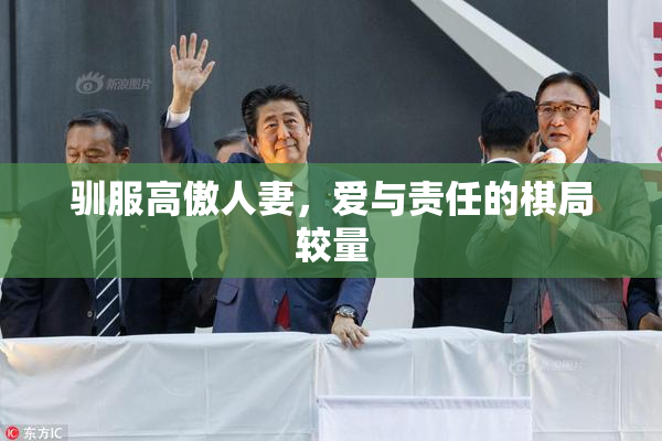 驯服高傲人妻，爱与责任的棋局较量