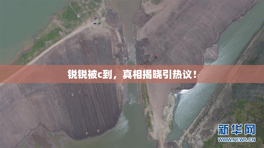 锐锐被c到，真相揭晓引热议！