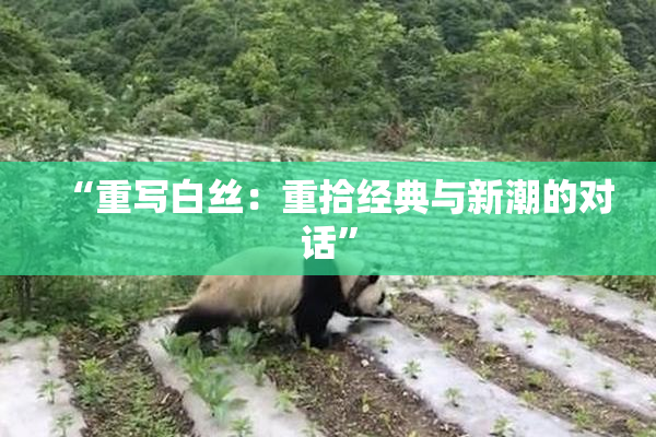 “重写白丝：重拾经典与新潮的对话”