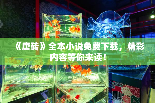 《唐砖》全本小说免费下载，精彩内容等你来读！