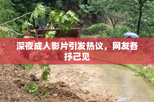深夜成人影片引发热议，网友各抒己见