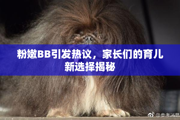 粉嫩BB引发热议，家长们的育儿新选择揭秘