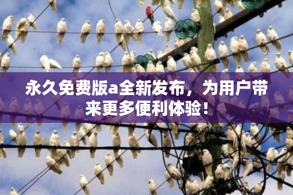 永久免费版a全新发布，为用户带来更多便利体验！