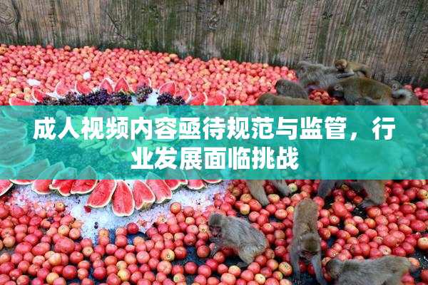成人视频内容亟待规范与监管，行业发展面临挑战