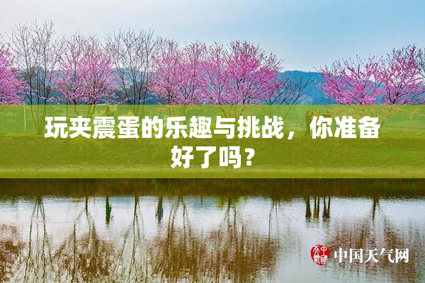 玩夹震蛋的乐趣与挑战，你准备好了吗？