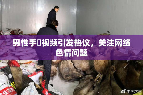 男性手婬视频引发热议，关注网络色情问题