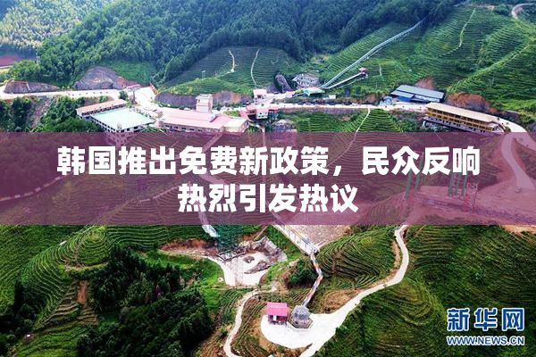 韩国推出免费新政策，民众反响热烈引发热议