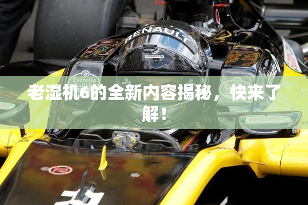 老湿机6的全新内容揭秘，快来了解！