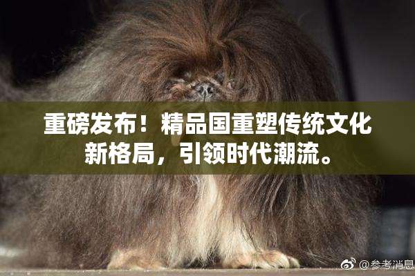 重磅发布！精品国重塑传统文化新格局，引领时代潮流。
