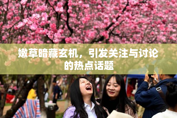 嫩草暗藏玄机，引发关注与讨论的热点话题
