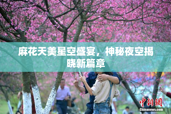 麻花天美星空盛宴，神秘夜空揭晓新篇章