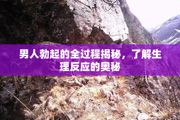 男人勃起的全过程揭秘，了解生理反应的奥秘