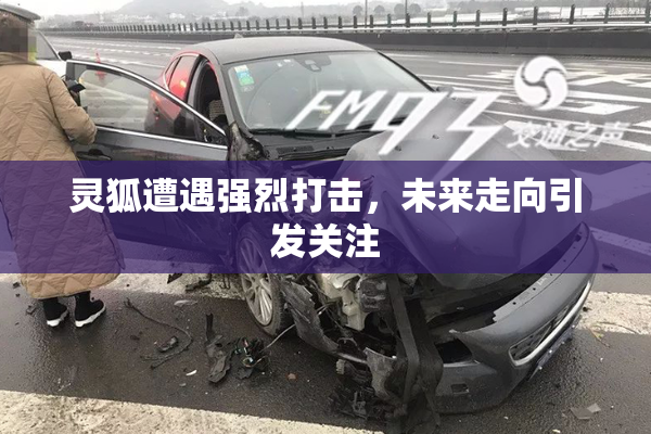灵狐遭遇强烈打击，未来走向引发关注