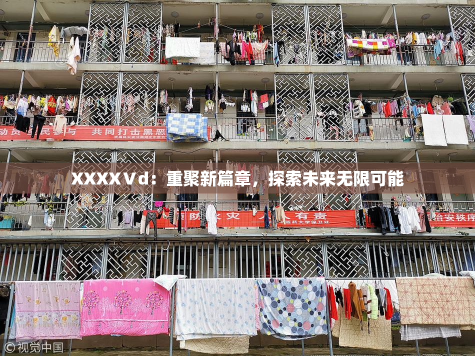 XXXXⅤd：重聚新篇章，探索未来无限可能