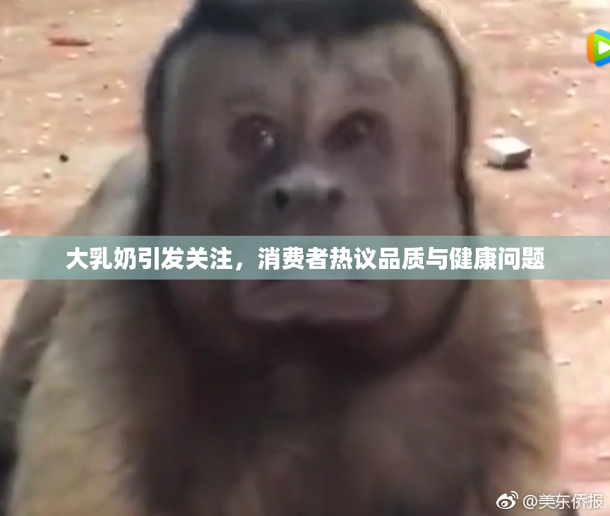 大乳奶引发关注，消费者热议品质与健康问题