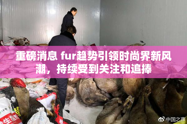 重磅消息 fur趋势引领时尚界新风潮，持续受到关注和追捧
